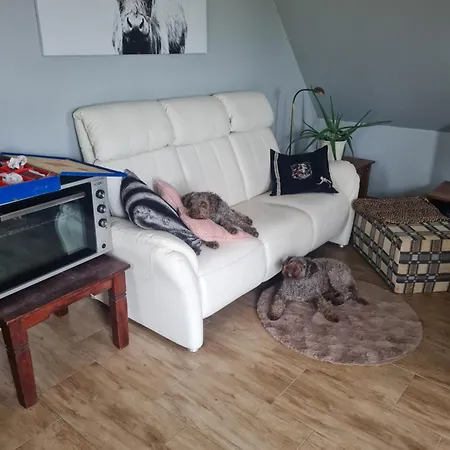 Aura Accommodatie bij particulieren