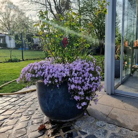 Homestay szállás Aura *